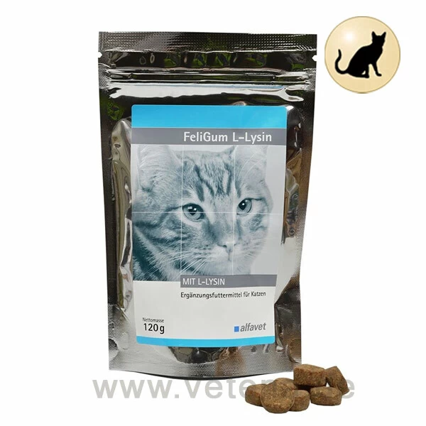FeliGum L-Lysin Katze 1 FeliGum L-Lysin Katze