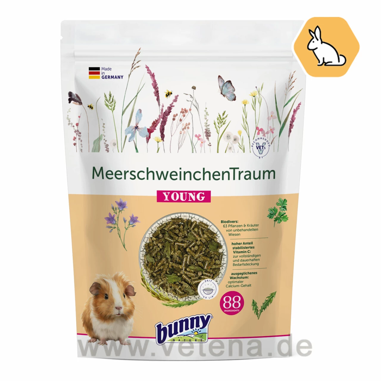 Bunny MeerschweinchenTraum Young 1 Bunny MeerschweinchenTraum Young