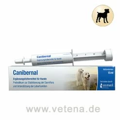 Canibernal Für Hunde