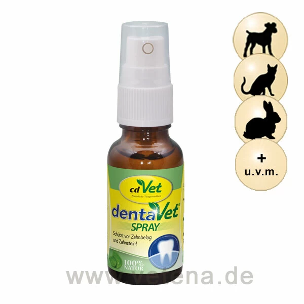 CdVet DentaVet Spray 1 CdVet DentaVet Spray