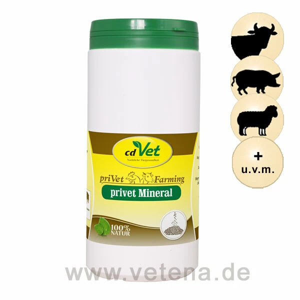 CdVet Privet Mineral 1 CdVet Privet Mineral