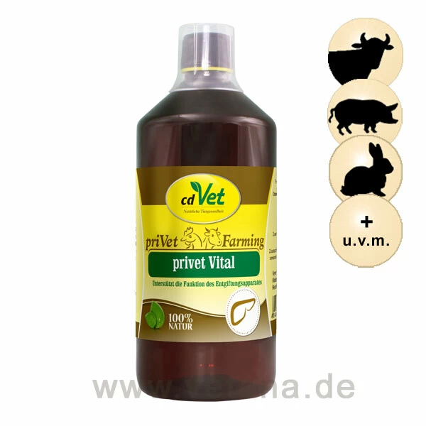 CdVet Privet Vital 1 CdVet Privet Vital