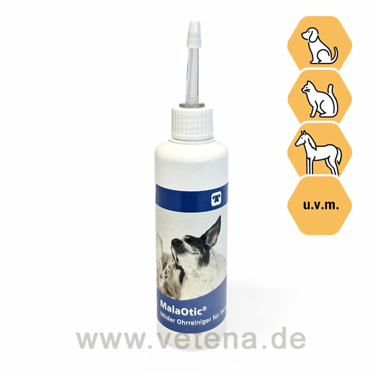 CP-Pharma Malaotic Ohrreiniger 1 CP-Pharma Malaotic Ohrreiniger