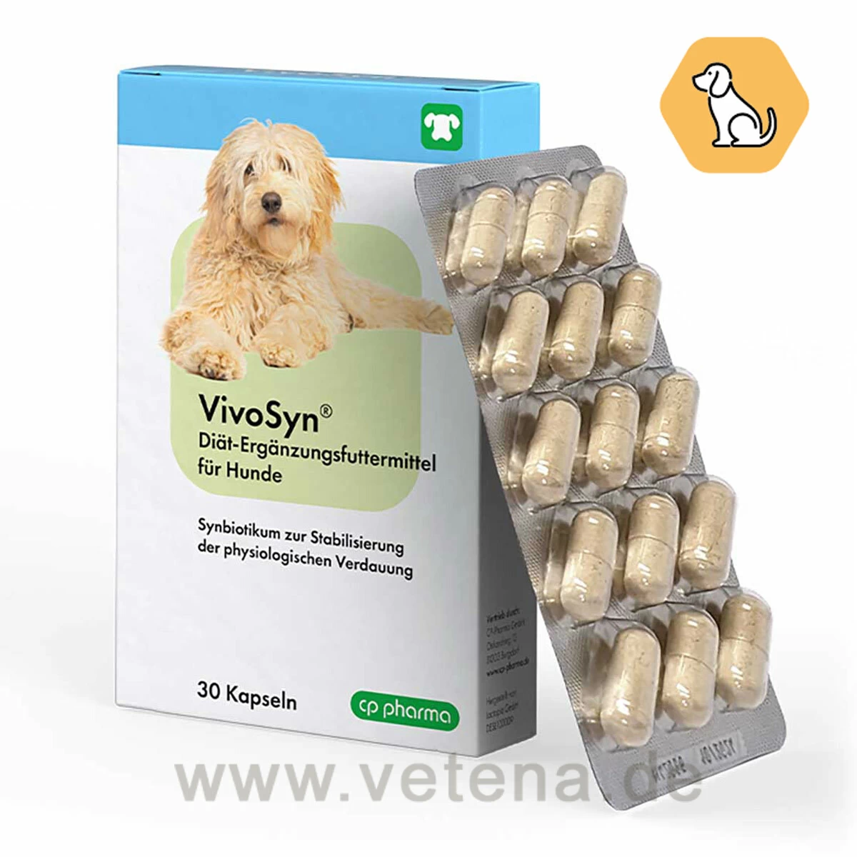 VivoSyn Für Hunde 1 VivoSyn Für Hunde