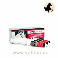 Equistro Ipaligo Foal Pferd