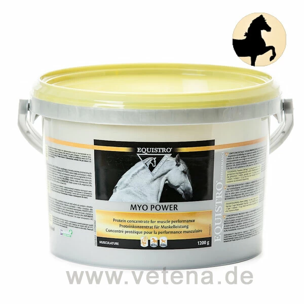 Equistro Myo Power Pferd 1 Equistro Myo Power Pferd