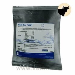 Fresh Cow YMCP Für Milchkühe