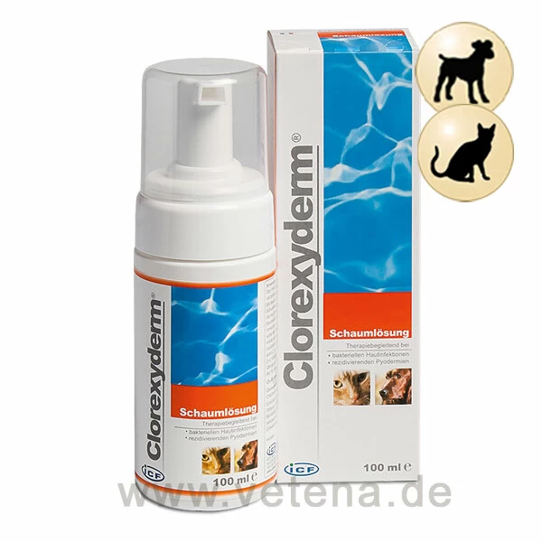 Clorexyderm Schaumlösung 1 Clorexyderm Schaumlösung