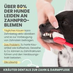 Noms+ Kräuter Dentals Für Hunde -Virbac Store nomsplus kraeuter dentals hunde4