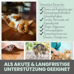 Noms+ Wohlfühlpaste Für Katzen 8 Noms+ Wohlfühlpaste Für Katzen -Virbac Store nomsplus wohlfuehlpaste hunde4