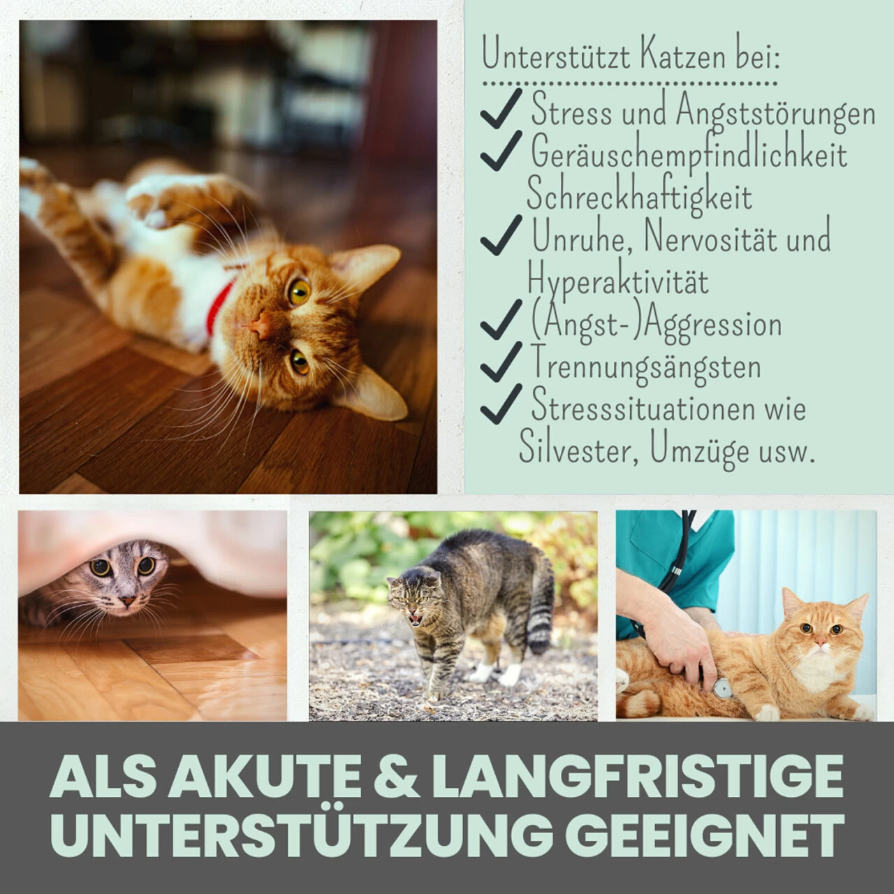 Noms+ Wohlfühlpaste Für Katzen 3 Noms+ Wohlfühlpaste Für Katzen – Bild 3