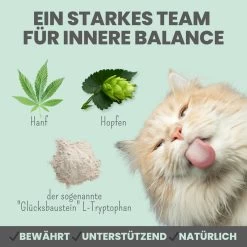 Noms+ Wohlfühlpaste Für Katzen 10 Noms+ Wohlfühlpaste Für Katzen -Virbac Store nomsplus wohlfuehlpaste hunde6