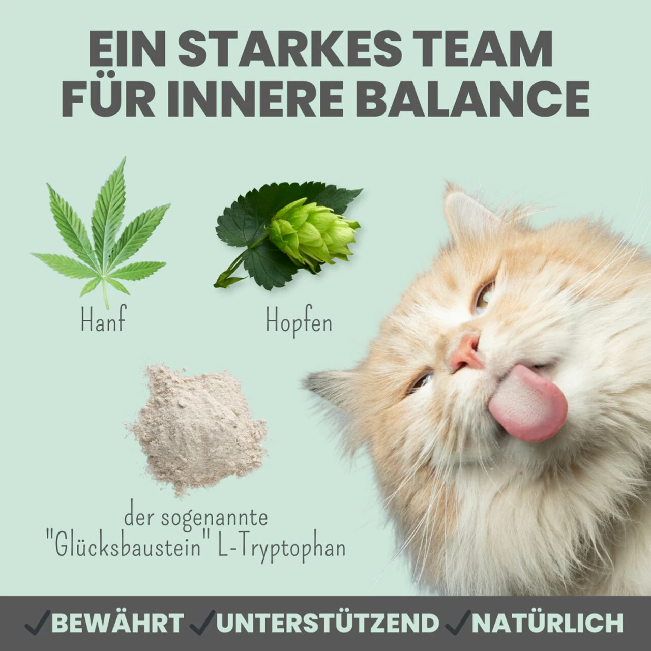 Noms+ Wohlfühlpaste Für Katzen 5 Noms+ Wohlfühlpaste Für Katzen – Bild 5