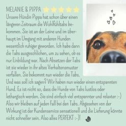 Noms+ Wohlfühltabs Für Hunde & Katzen -Virbac Store nomsplus wohlfuehltabs hund katze8