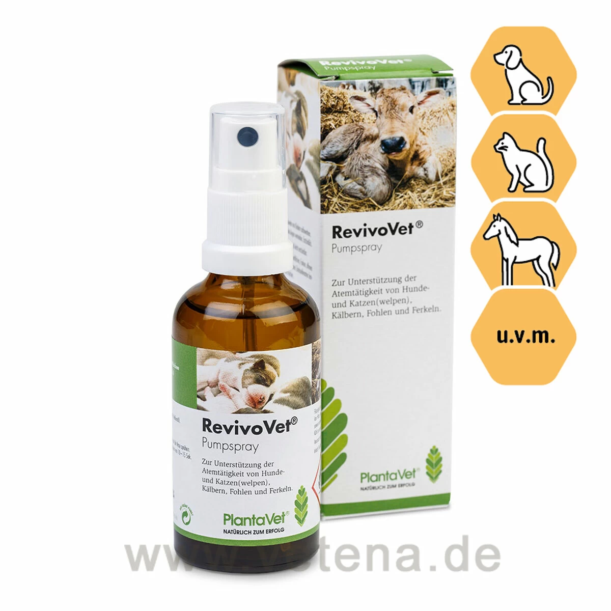 PlantaVet RevivoVet Pumpspray 1 PlantaVet RevivoVet Pumpspray