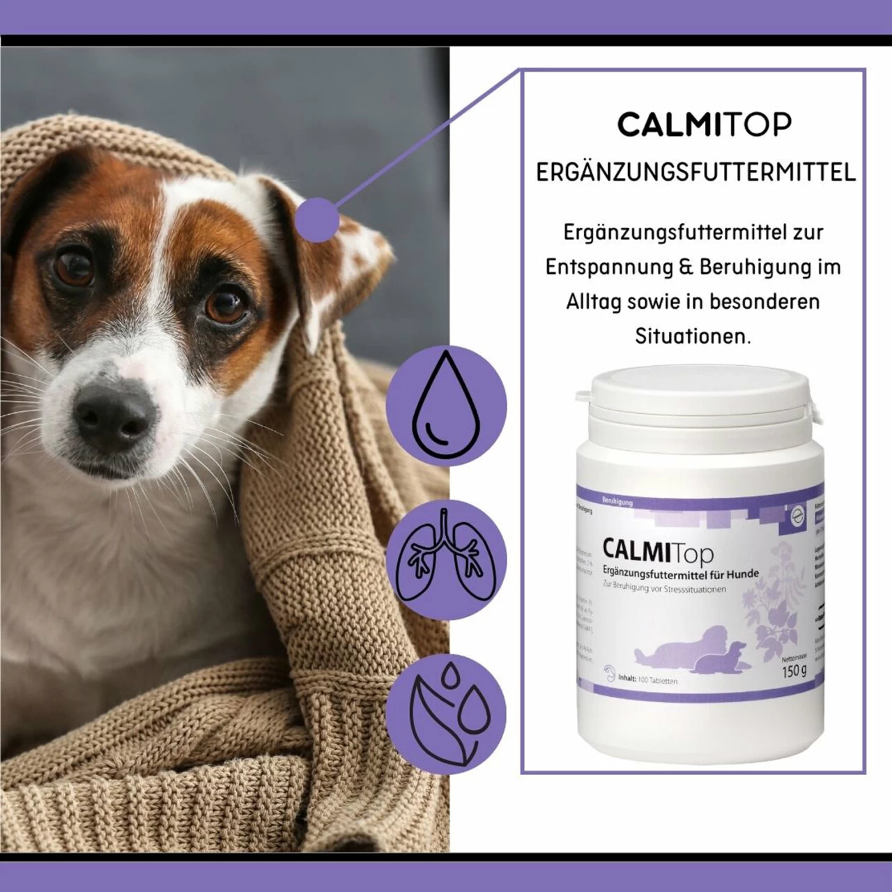 ReboVet CALMITop Für Hunde 2 ReboVet CALMITop Für Hunde – Bild 2