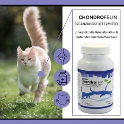 ReboTabs ChondroFelin Für Katzen 6 ReboTabs ChondroFelin Für Katzen -Virbac Store rebotabs chondrofelin katze3