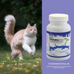 ReboTabs ChondroFelin Für Katzen 7 ReboTabs ChondroFelin Für Katzen -Virbac Store rebotabs chondrofelin katze4