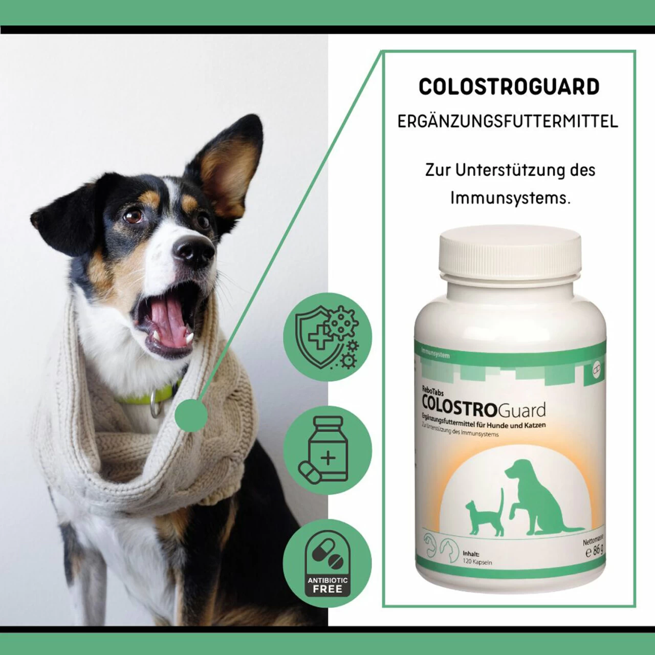 ReboTabs COLOSTROGuard Für Hunde & Katzen 3 ReboTabs COLOSTROGuard Für Hunde & Katzen – Bild 3