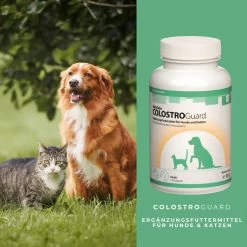 ReboTabs COLOSTROGuard Für Hunde & Katzen 7 ReboTabs COLOSTROGuard Für Hunde & Katzen -Virbac Store rebotabs colostroguard4
