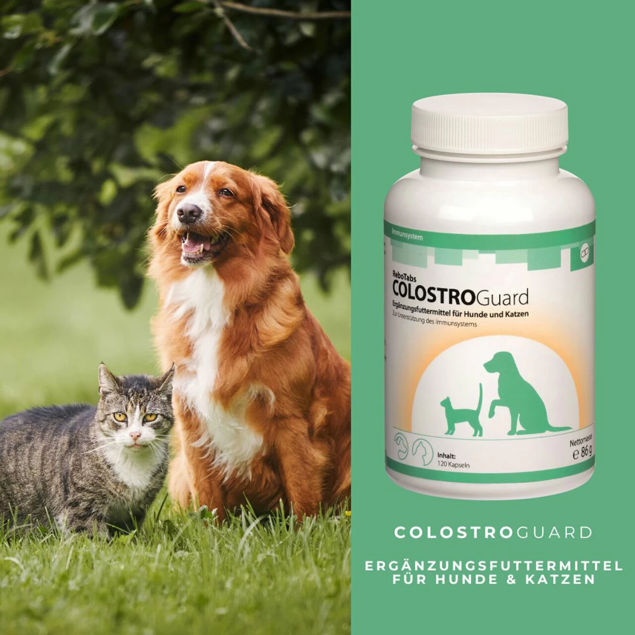 ReboTabs COLOSTROGuard Für Hunde & Katzen 4 ReboTabs COLOSTROGuard Für Hunde & Katzen – Bild 4