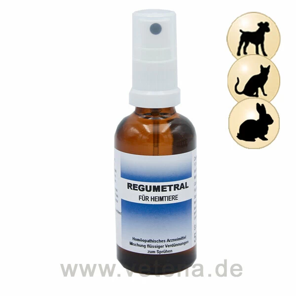 Regumetral Für Heimtiere 1 Regumetral Für Heimtiere