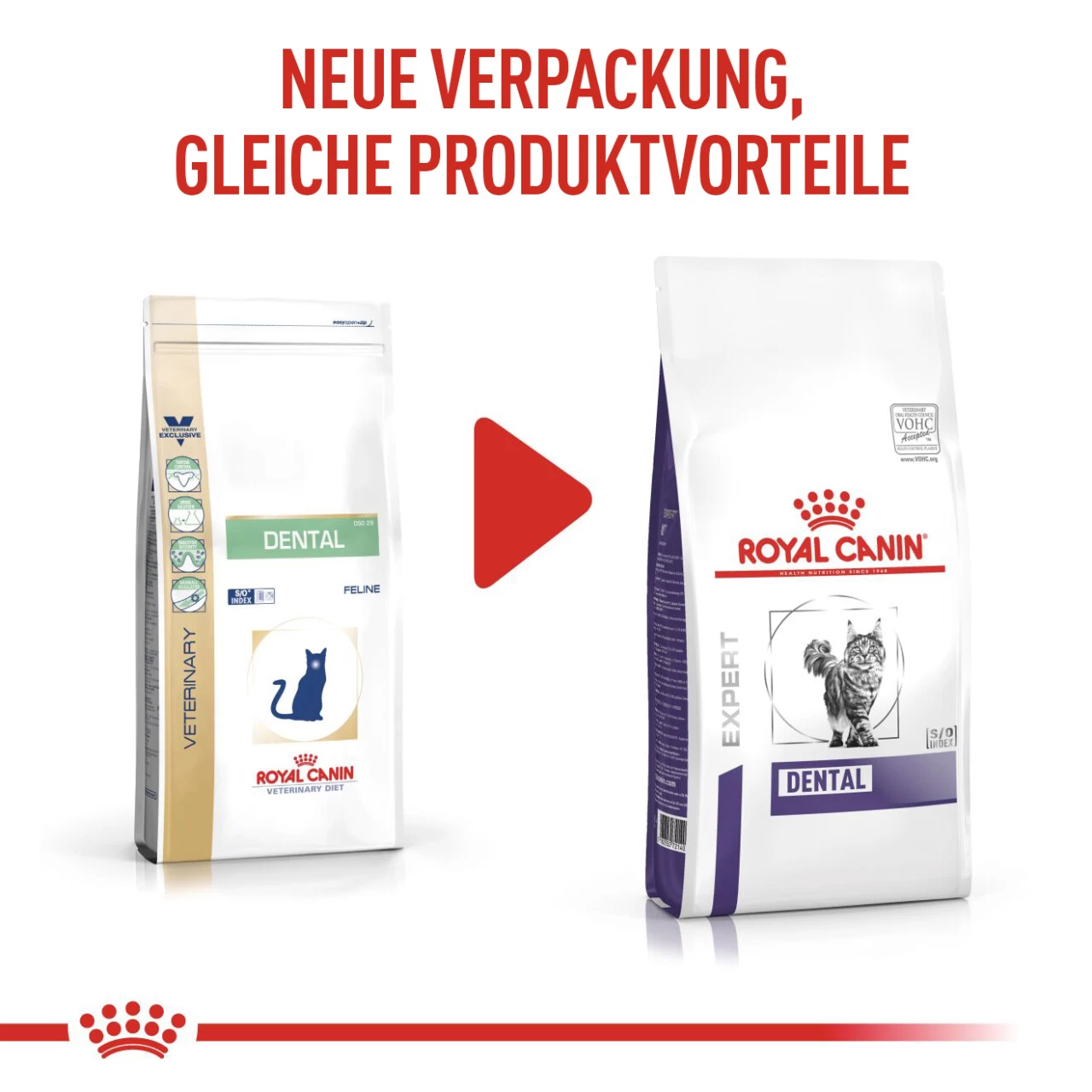 Royal Canin Expert Dental Trockenfutter Für Katzen 2 Royal Canin Expert Dental Trockenfutter Für Katzen – Bild 2