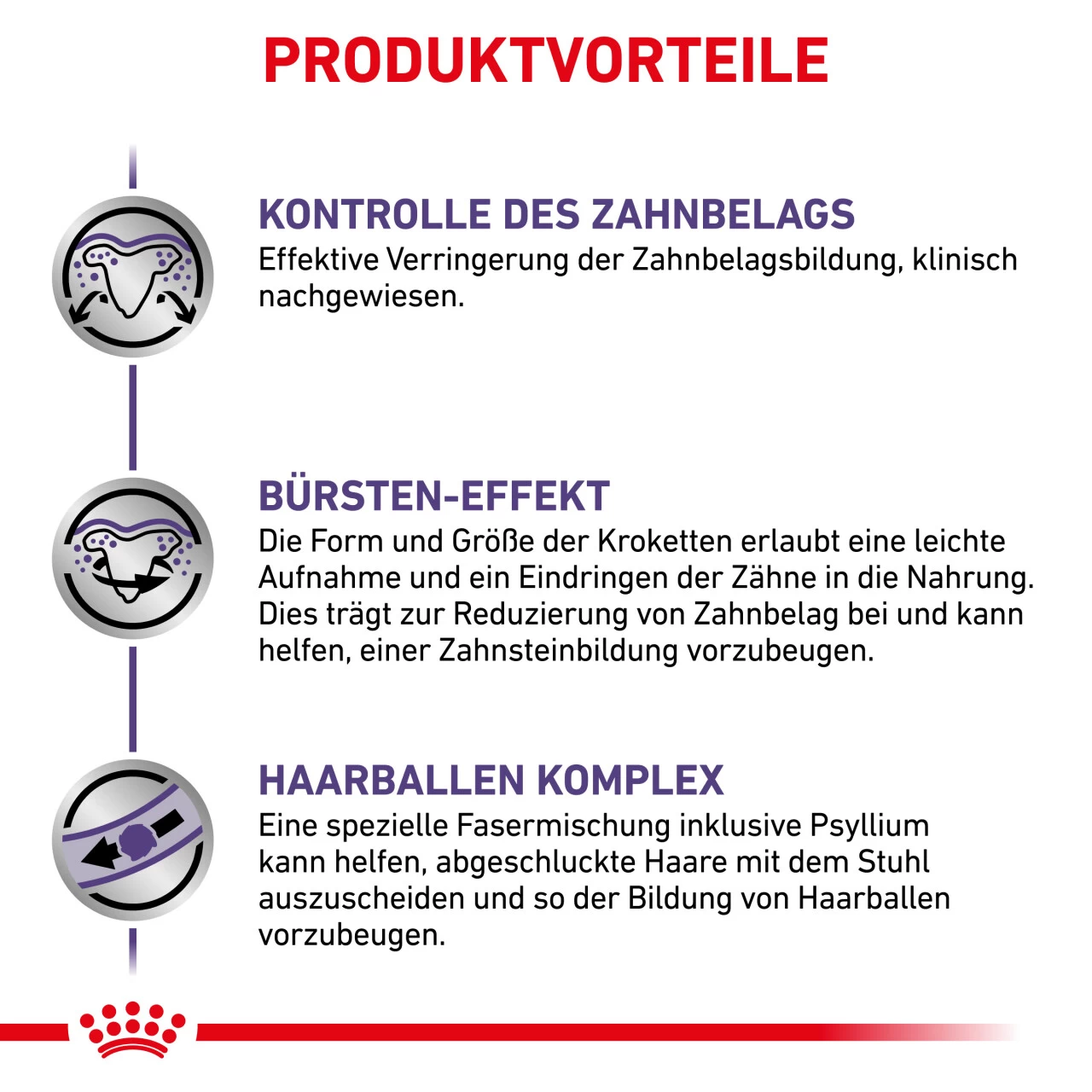 Royal Canin Expert Dental Trockenfutter Für Katzen 5 Royal Canin Expert Dental Trockenfutter Für Katzen – Bild 5