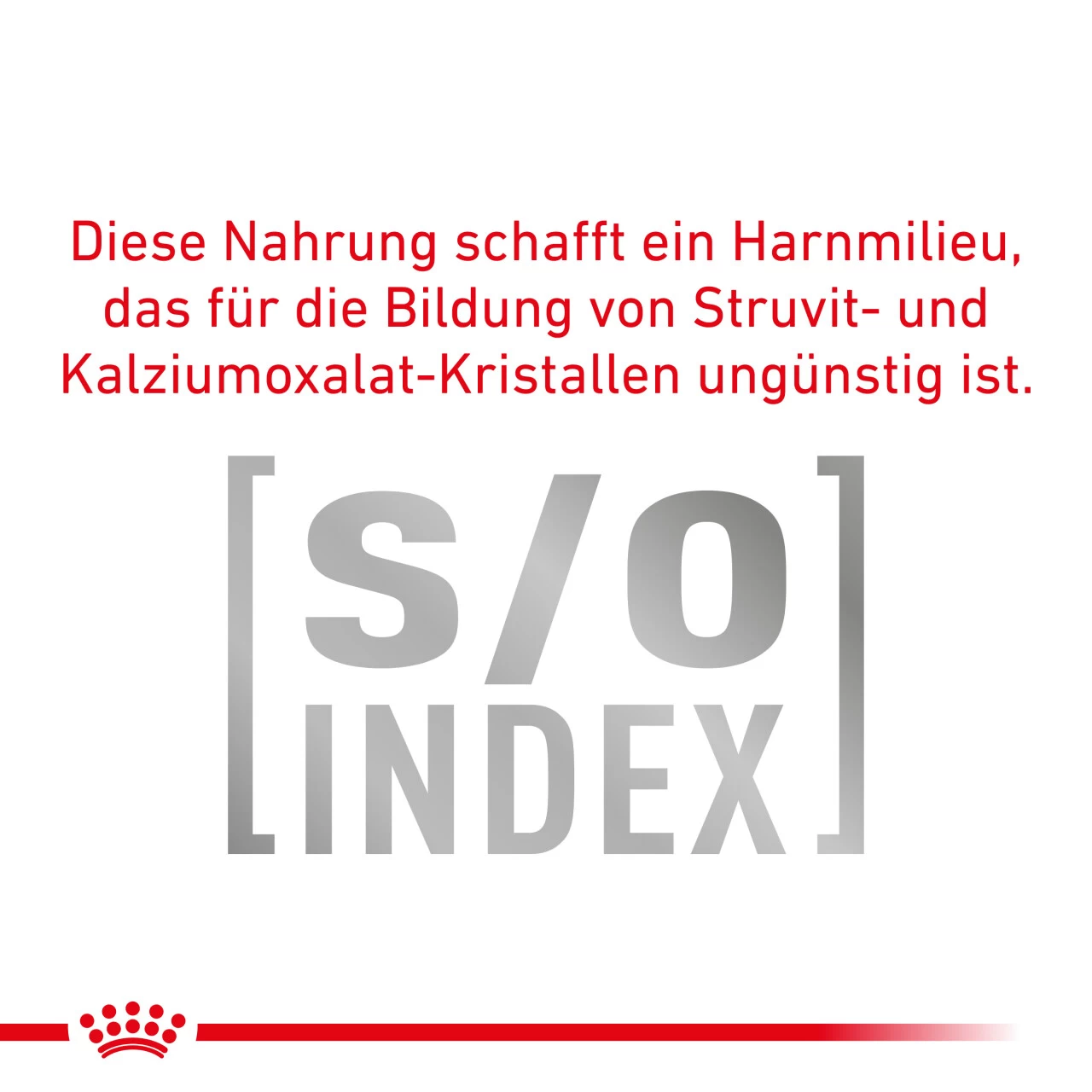 Royal Canin Expert Dental Trockenfutter Für Katzen 6 Royal Canin Expert Dental Trockenfutter Für Katzen – Bild 6