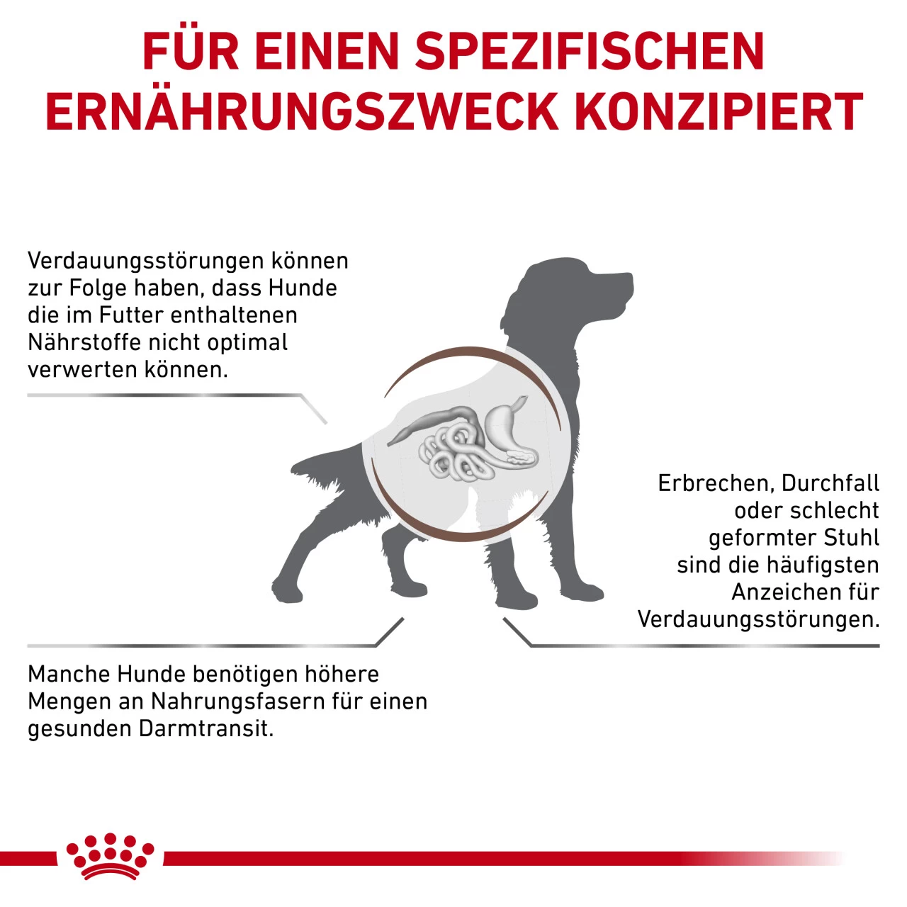 Royal Canin Gastrointestinal High Fibre Trockenfutter Für Hunde 6 Royal Canin Gastrointestinal High Fibre Trockenfutter Für Hunde – Bild 6