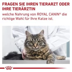 Royal Canin Gastrointestinal Fibre Response Trockenfutter Für Katzen 19 Royal Canin Gastrointestinal Fibre Response Trockenfutter Für Katzen -Virbac Store royal canin gastrointestinal fibre response katze10