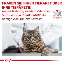 Royal Canin Gastrointestinal Kitten Nassfutter Für Katzen 11 Royal Canin Gastrointestinal Kitten Nassfutter Für Katzen -Virbac Store royal canin gastrointestinal kitten nass7