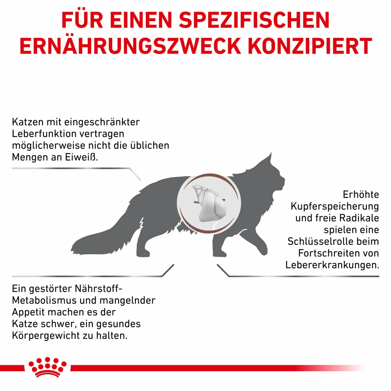 Royal Canin Hepatic Trockenfutter Für Katzen 4 Royal Canin Hepatic Trockenfutter Für Katzen – Bild 4