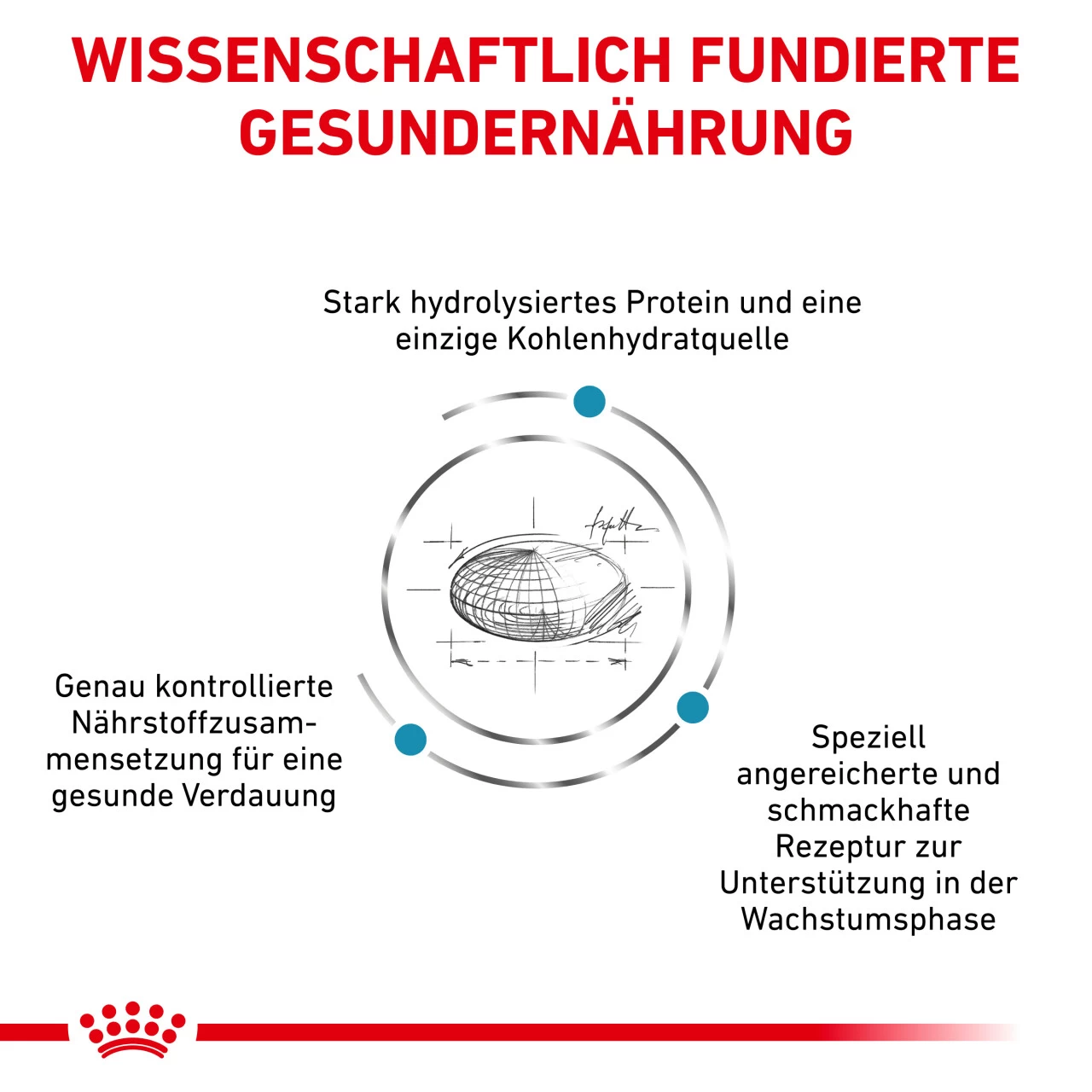 Royal Canin Hypoallergenic Puppy Trockenfutter Für Hunde 3 Royal Canin Hypoallergenic Puppy Trockenfutter Für Hunde – Bild 3