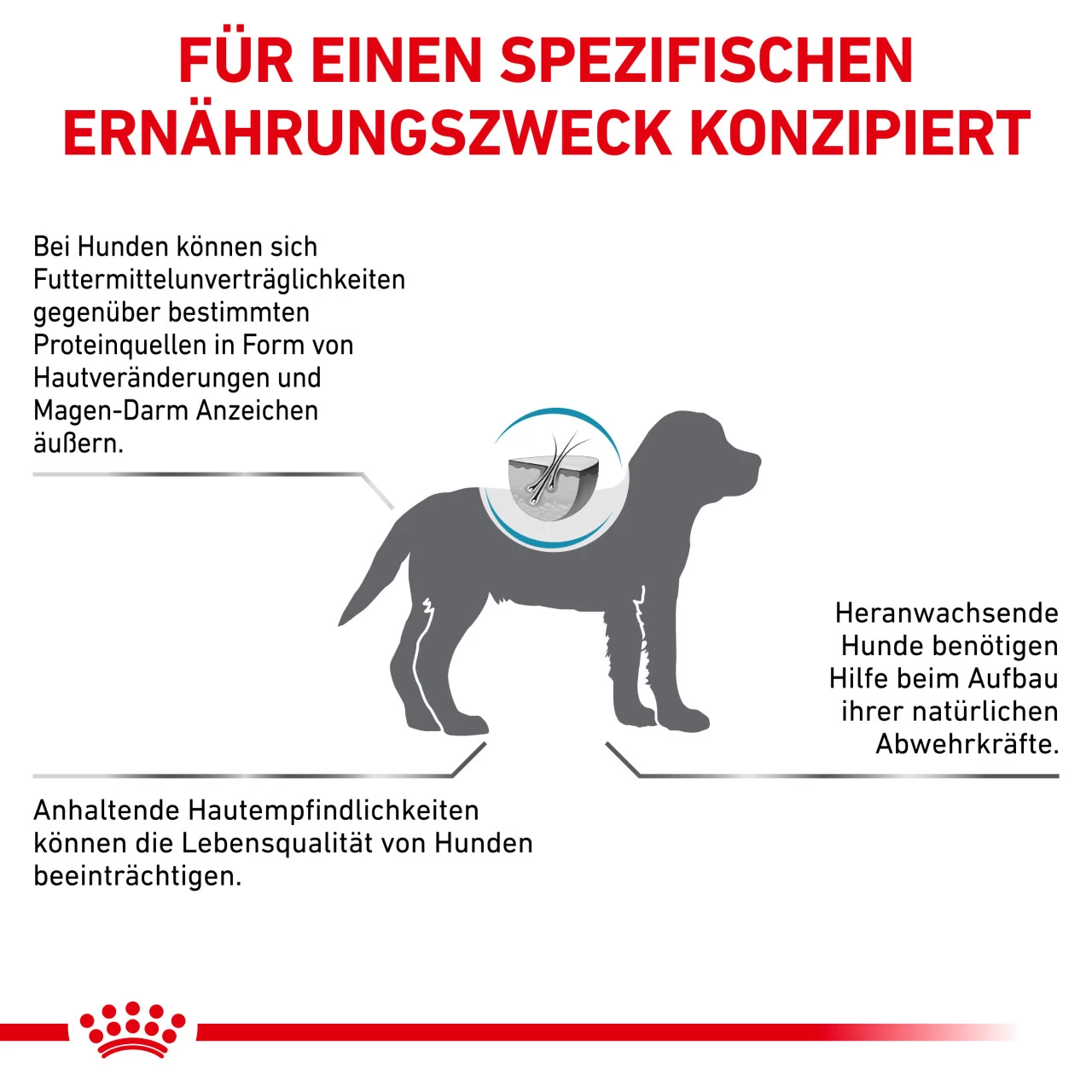 Royal Canin Hypoallergenic Puppy Trockenfutter Für Hunde 4 Royal Canin Hypoallergenic Puppy Trockenfutter Für Hunde – Bild 4