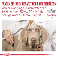 Royal Canin Hypoallergenic Puppy Trockenfutter Für Hunde 13 Royal Canin Hypoallergenic Puppy Trockenfutter Für Hunde -Virbac Store royal canin hypoallergenic puppy trockenfutter hund7