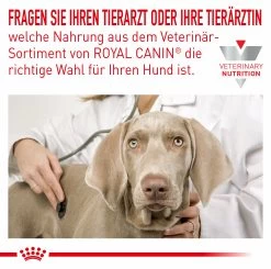 Royal Canin Hypoallergenic Small Dogs Trockenfutter Für Hunde -Virbac Store royal canin hypoallergenic small dogs hund3