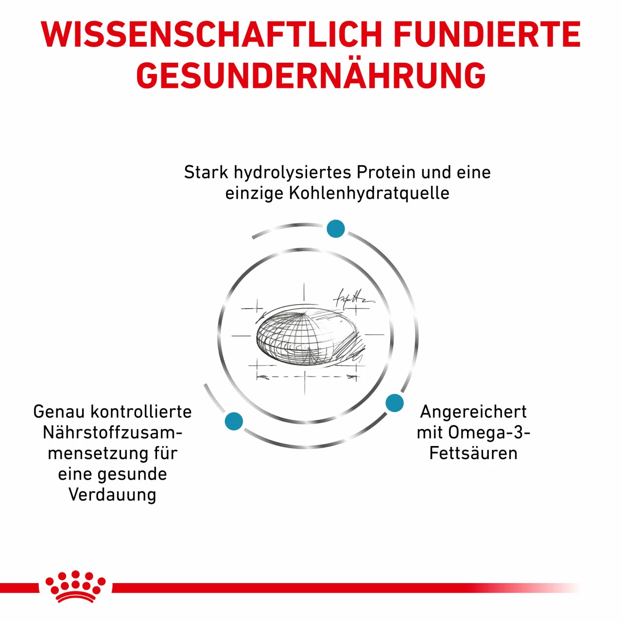 Royal Canin Hypoallergenic Trockenfutter Für Hunde 3 Royal Canin Hypoallergenic Trockenfutter Für Hunde – Bild 3