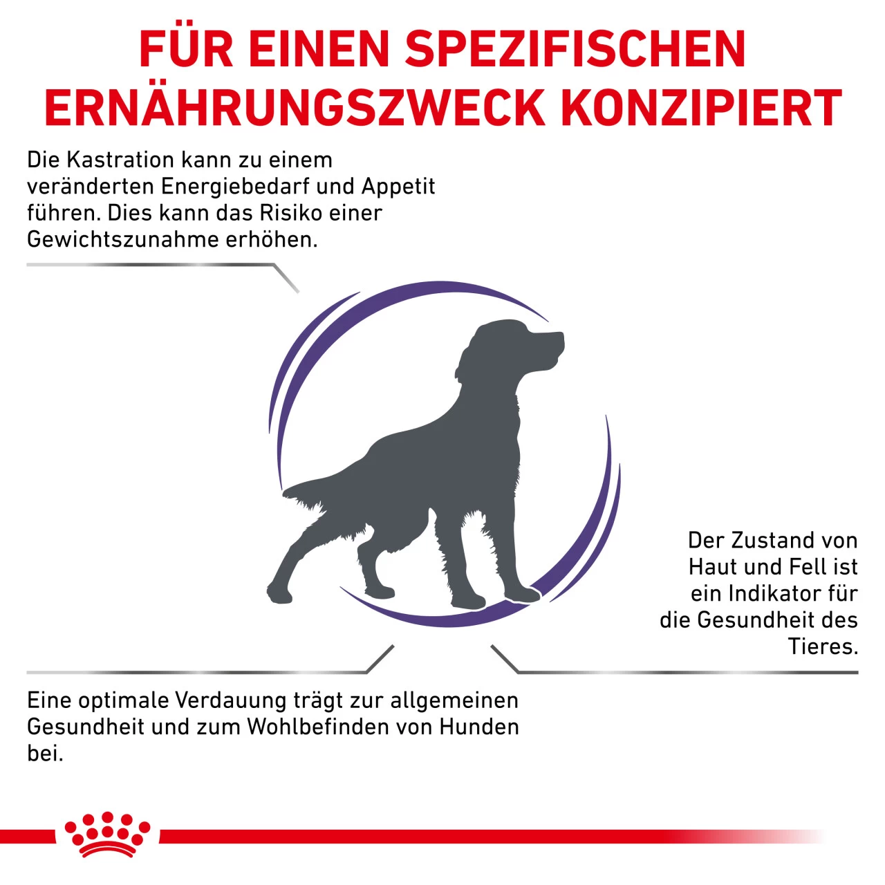 Royal Canin Expert Neutered Adult Medium Dogs Trockenfutter Für Hunde 3 Royal Canin Expert Neutered Adult Medium Dogs Trockenfutter Für Hunde – Bild 3