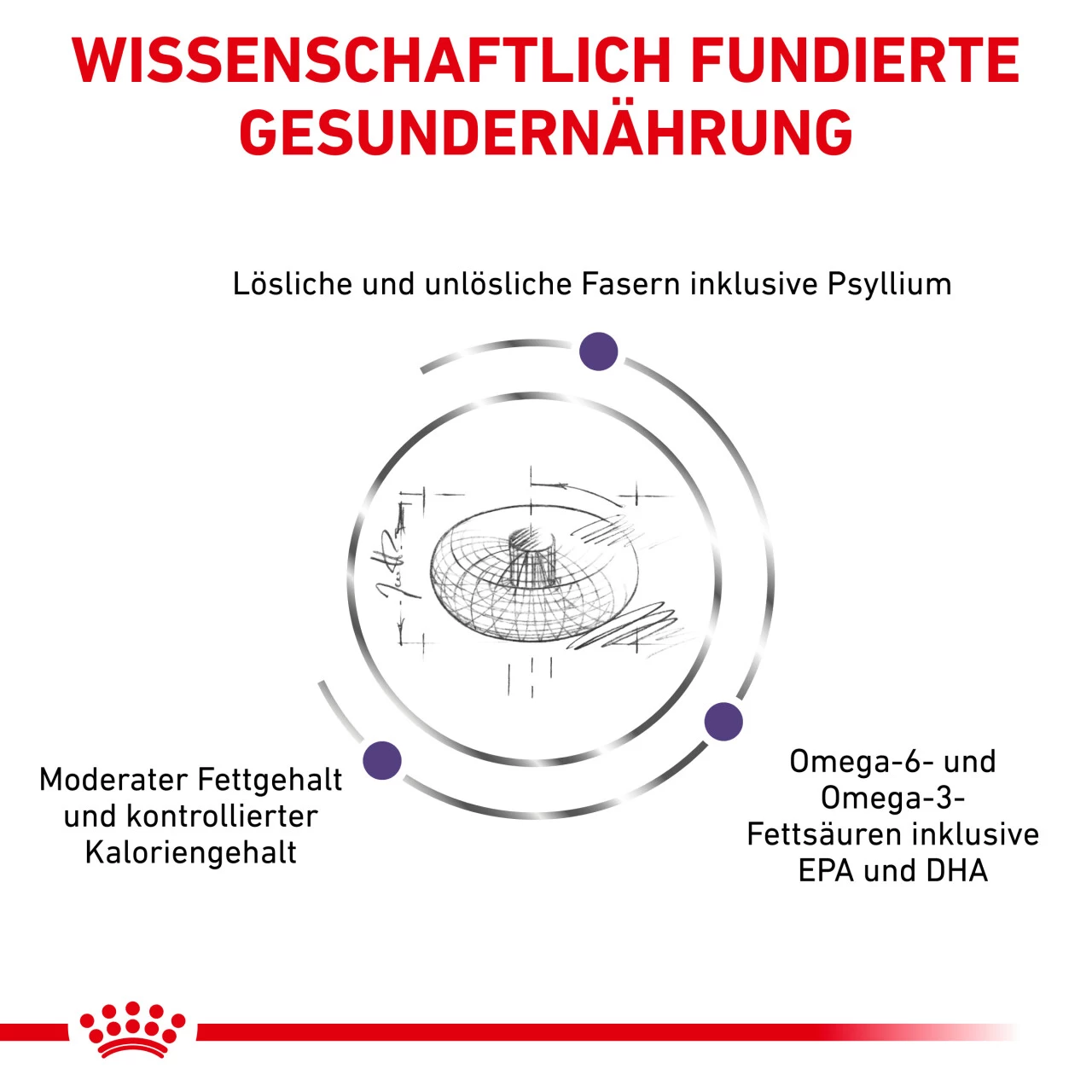 Royal Canin Expert Neutered Adult Medium Dogs Trockenfutter Für Hunde 4 Royal Canin Expert Neutered Adult Medium Dogs Trockenfutter Für Hunde – Bild 4