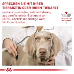 Royal Canin Expert Neutered Adult Medium Dogs Trockenfutter Für Hunde 17 Royal Canin Expert Neutered Adult Medium Dogs Trockenfutter Für Hunde -Virbac Store royal canin neutered adult medium dogs hund9