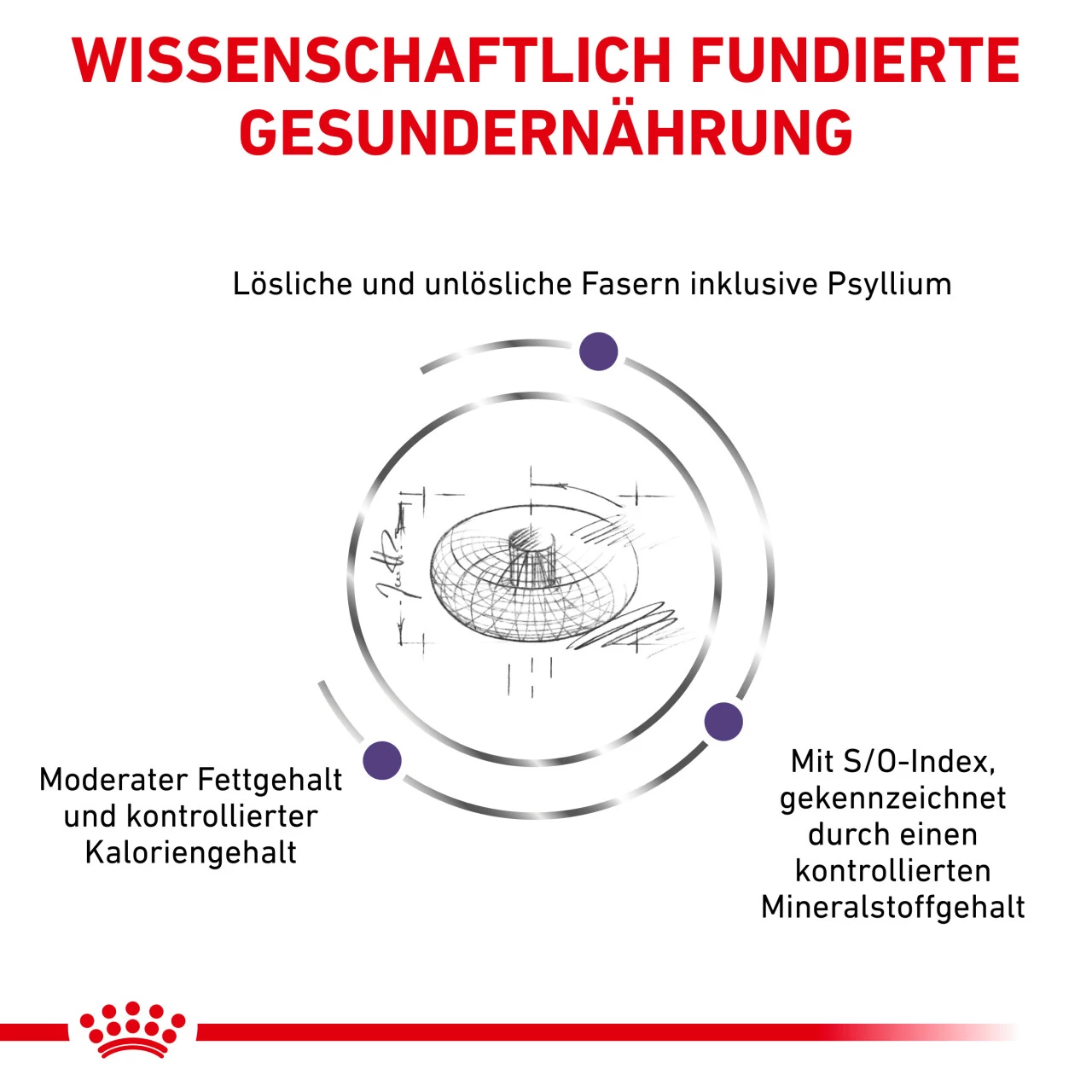 Royal Canin Expert Neutered Adult Small Dogs Trockenfutter Für Hunde 4 Royal Canin Expert Neutered Adult Small Dogs Trockenfutter Für Hunde – Bild 4