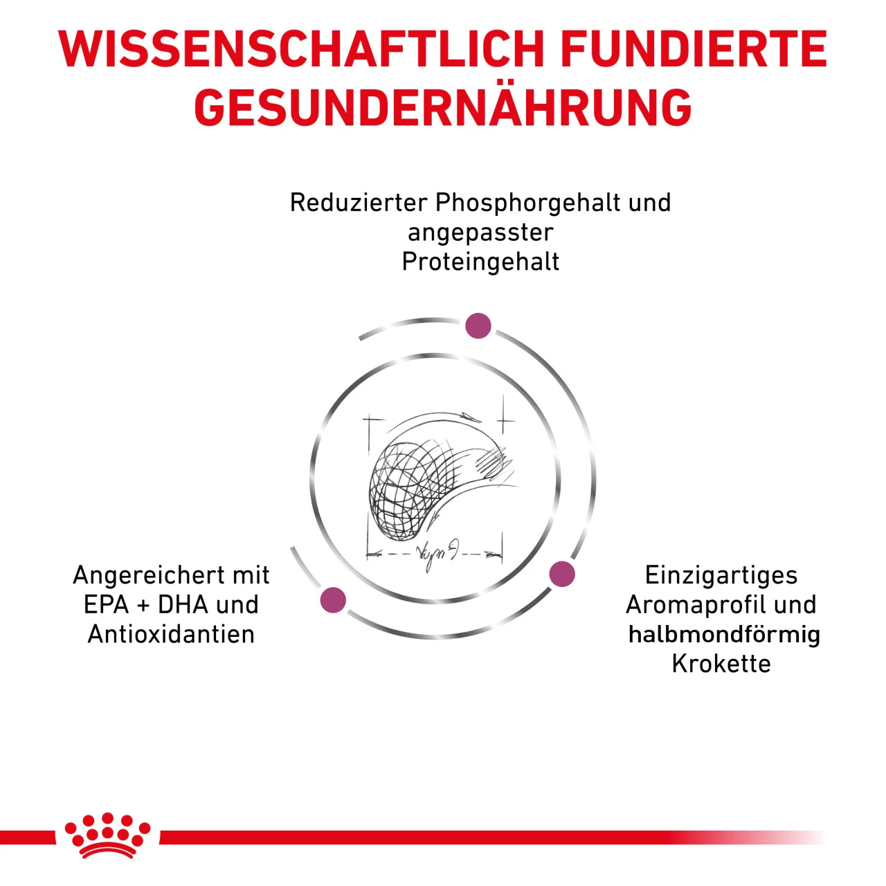 Royal Canin Renal Select Trockenfutter Hund 6 Royal Canin Renal Select Trockenfutter Hund – Bild 6