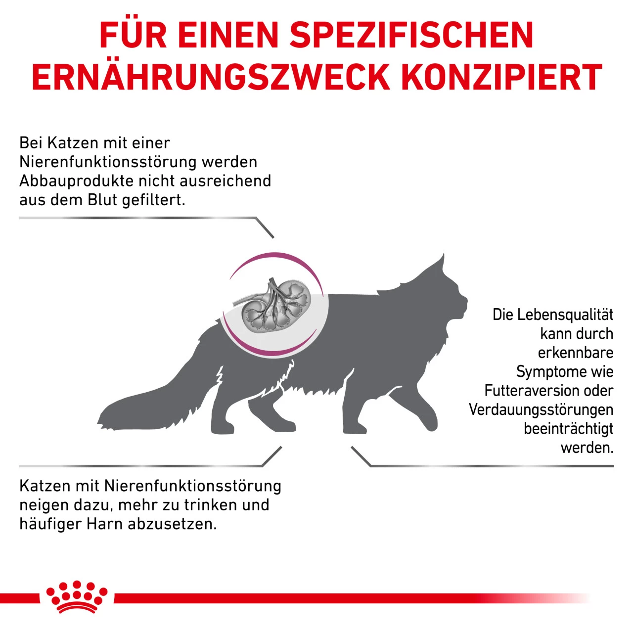 Royal Canin Renal Select Trockenfutter Katze 5 Royal Canin Renal Select Trockenfutter Katze – Bild 5