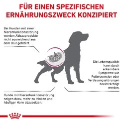 Royal Canin Renal Special Trockenfutter Hund 12 Royal Canin Renal Special Trockenfutter Hund -Virbac Store royal canin renal special trocken hund5