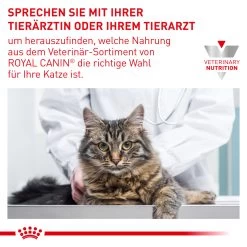 Royal Canin Renal Trockenfutter Für Katzen 15 Royal Canin Renal Trockenfutter Für Katzen -Virbac Store royal canin renal trocken katze8