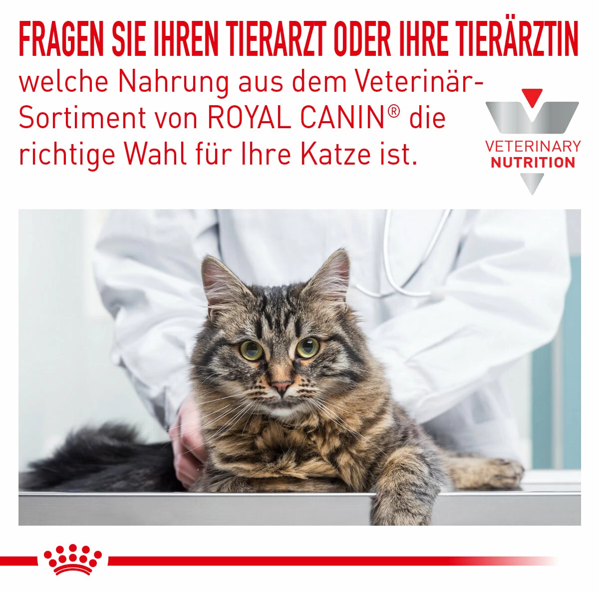 Royal Canin Sensitivity Control Trockenfutter Für Katzen 2 Royal Canin Sensitivity Control Trockenfutter Für Katzen – Bild 2