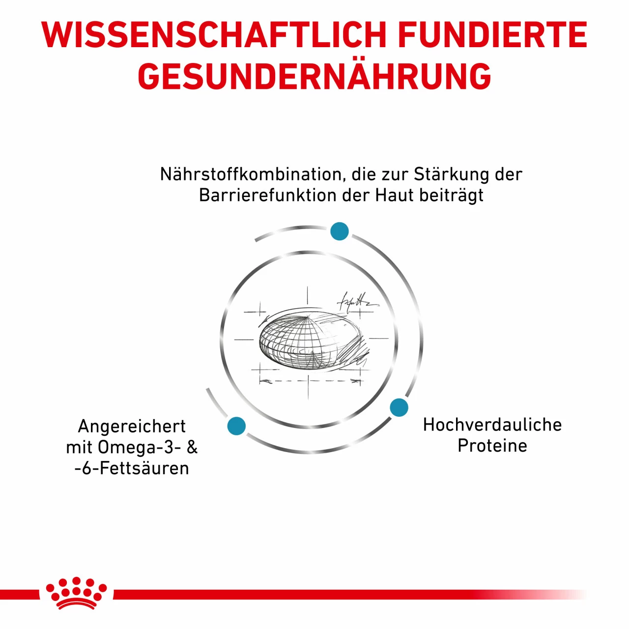 Royal Canin Skin Care Trockenfutter Für Hunde 3 Royal Canin Skin Care Trockenfutter Für Hunde – Bild 3