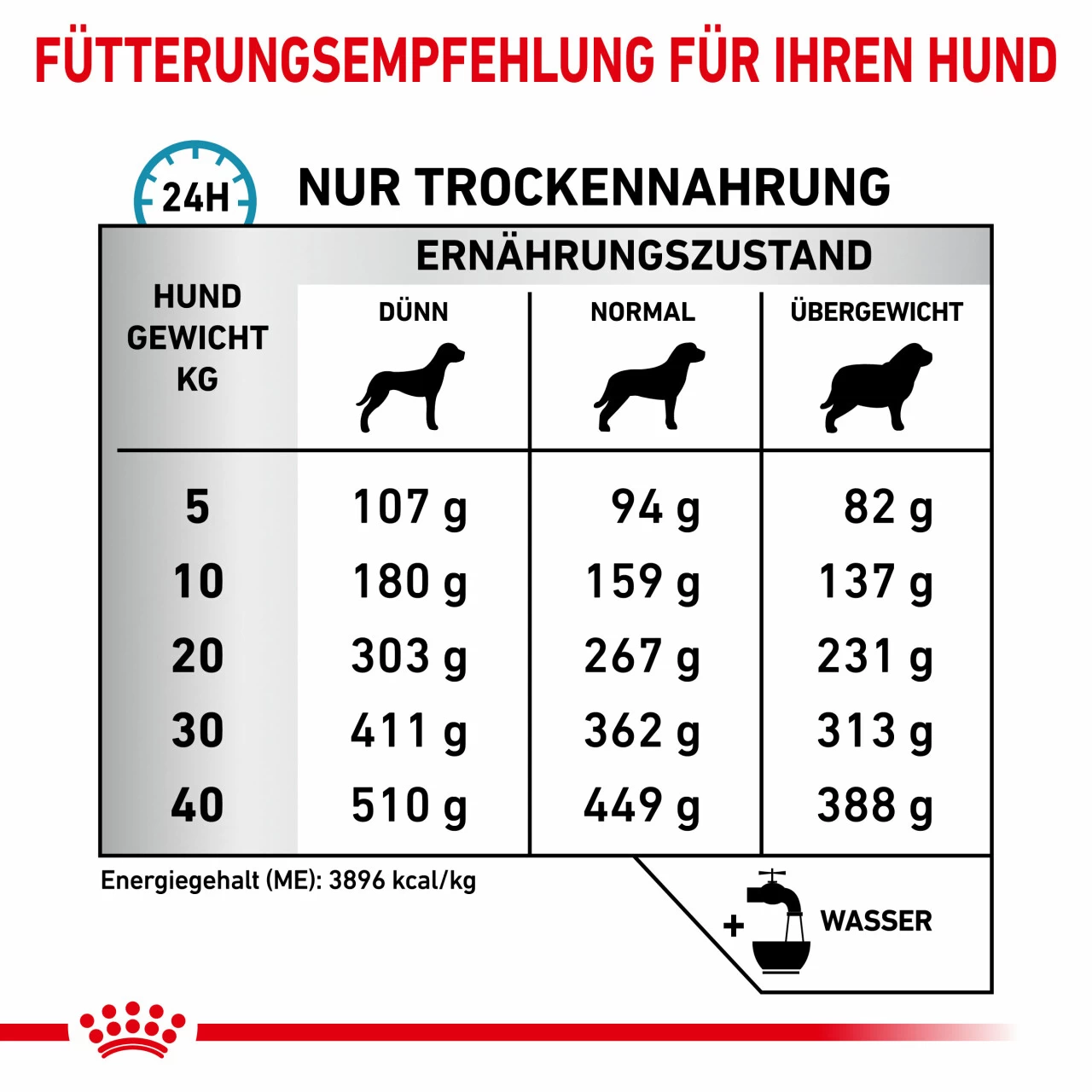 Royal Canin Skin Care Trockenfutter Für Hunde 5 Royal Canin Skin Care Trockenfutter Für Hunde – Bild 5