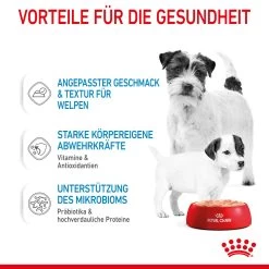Royal Canin Starter Mousse Mother & Babydog Nassfutter Für Hunde 12 Royal Canin Starter Mousse Mother & Babydog Nassfutter Für Hunde -Virbac Store royal canin starter mousse mother babydog hund5